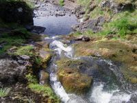 Sheriff Muir Paradise Pools